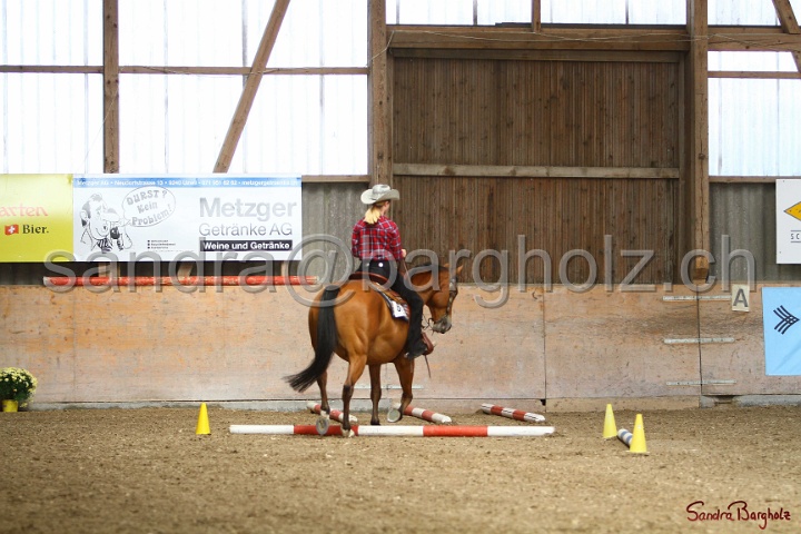26-ApHC GT_042.jpg